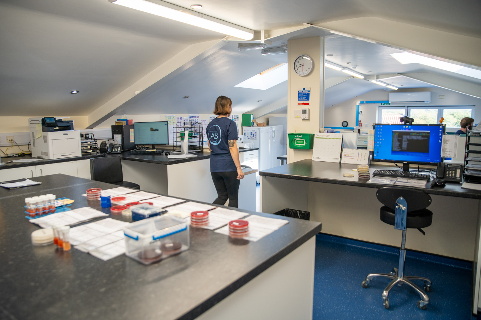 Request Laboratory Supplies | Rainbow Equine