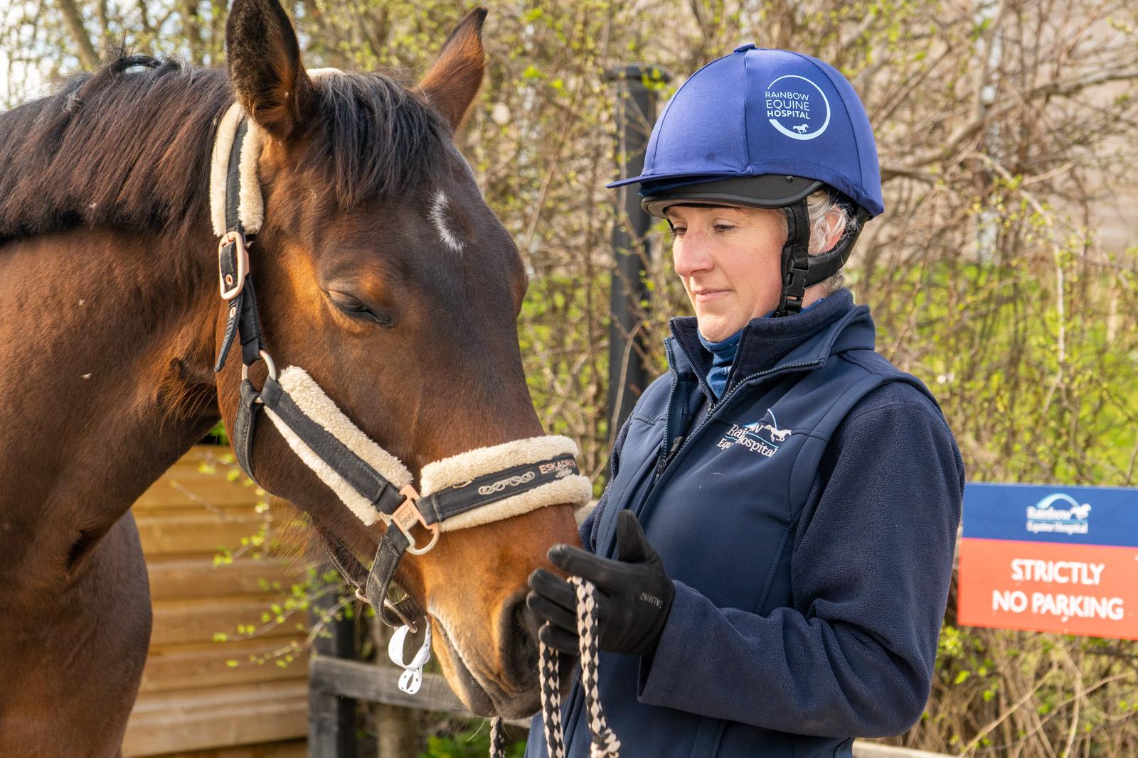 Rainbow Equine Hospital (Web)-100659
