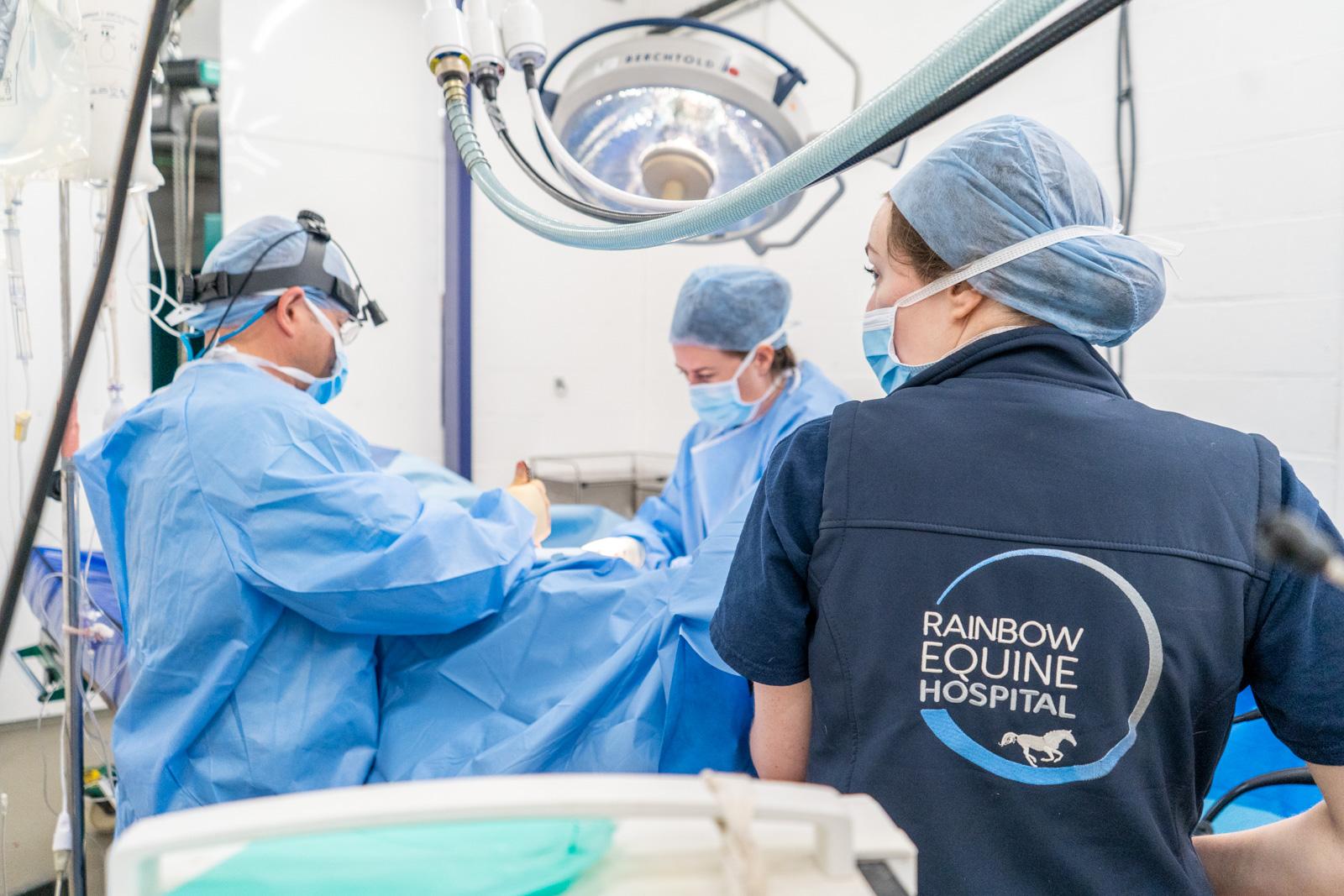 Rainbow Equine Hospital (Web)-102342_0